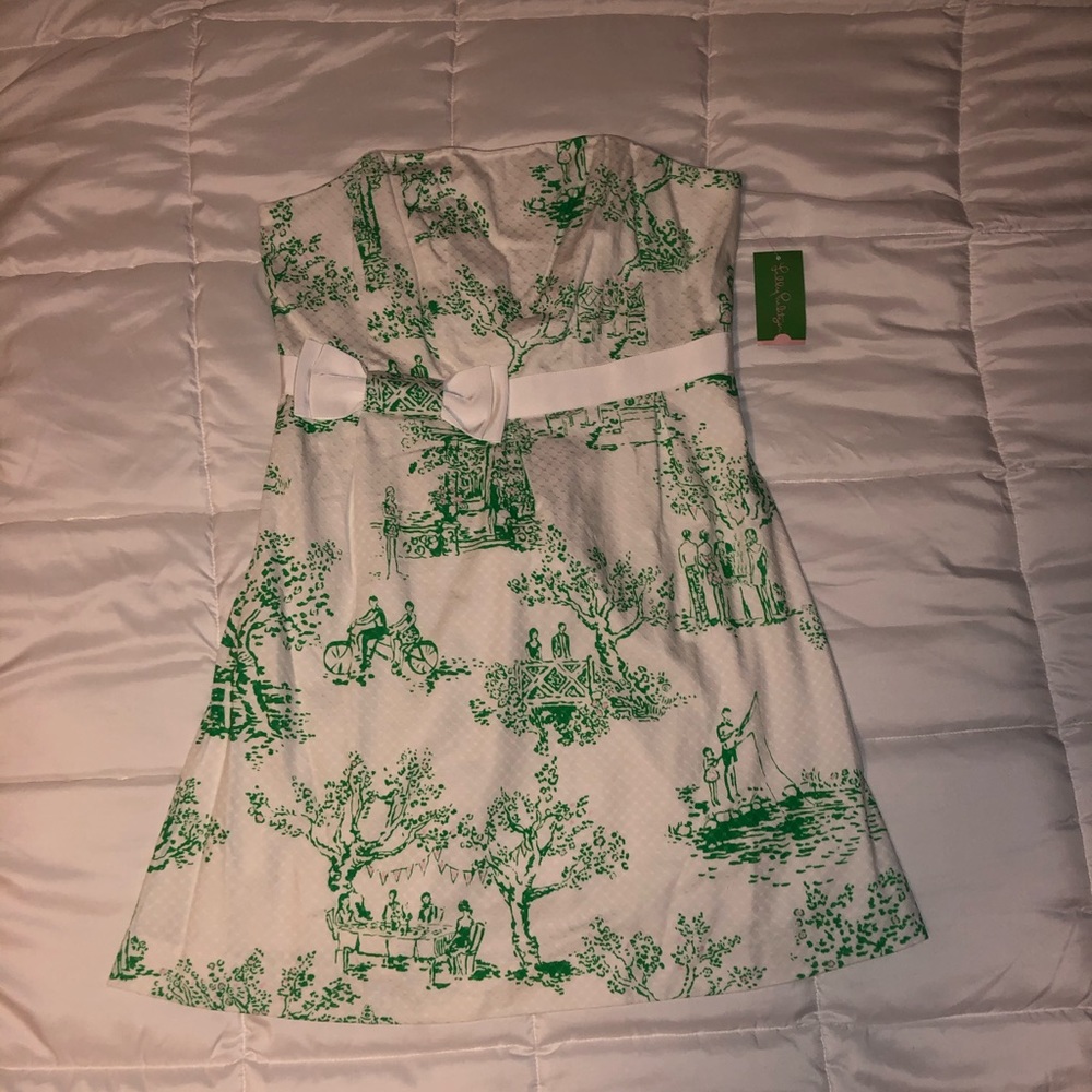Lily Pulitzer Amberly Dress